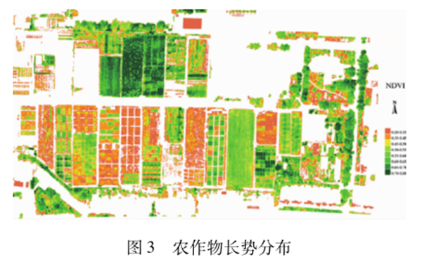 圖3 農(nóng)作物長(zhǎng)勢(shì)分布