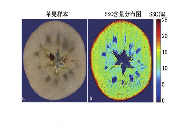 蘋果可溶性含量檢測