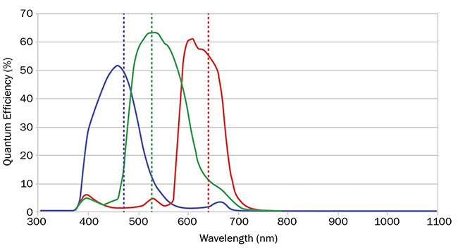 圖 3. RGB 相機的量子效率曲線顯示了紅色、綠色和藍色之間的重疊。 由愛特蒙特光學公司提供。