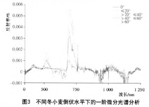 3.不同冬小麥倒伏水平下的一階微分光譜分析