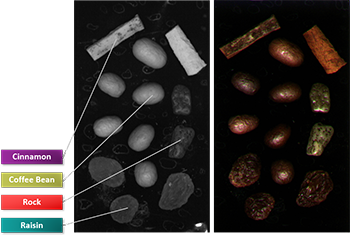 Teledyne Imaging 等短波紅外相機(jī)可以幫助檢測(cè)食品分選應(yīng)用中的水分。