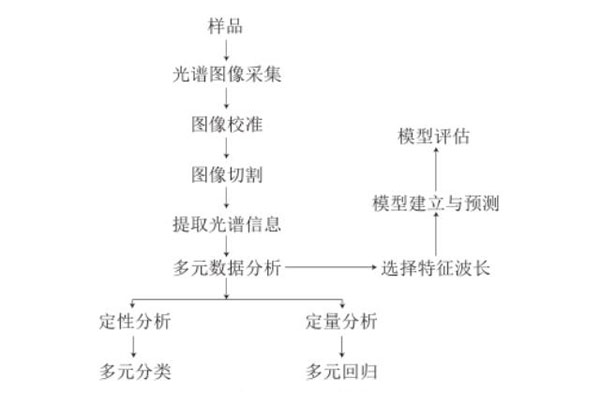 高光譜成像技術(shù)定性定量判別流程01