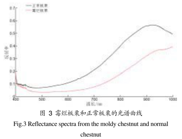 高光譜成像儀在霉?fàn)€板栗檢測(cè)中的應(yīng)用2