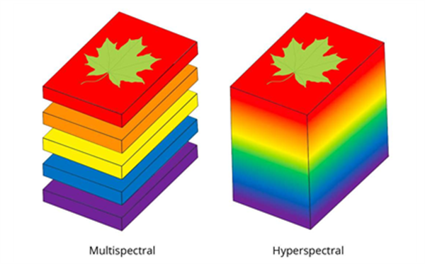 高光譜相機和多光譜相機有哪些區(qū)別