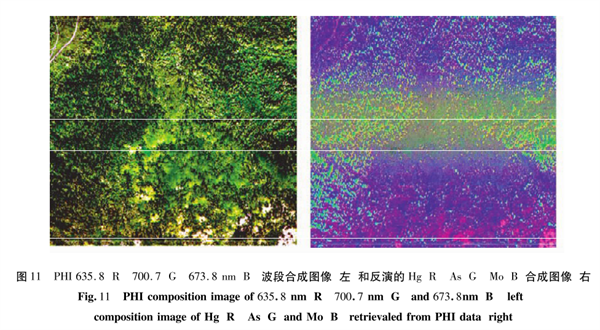 高光譜植物地球化學(xué)探測