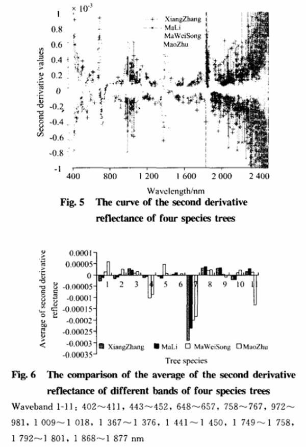 基于葉片高光譜特性分析的樹種識別方法5