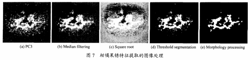 高光譜成像技術(shù)檢測柑橘果銹7